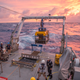 Image: Schmidt Ocean Institute